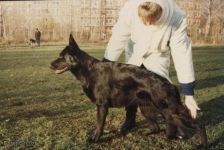 Voger Vassa